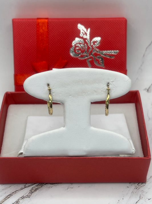 Hoop Earrings 14lg